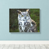 Große Hornschale Leinwanddruck (Insitu (Holzboden))