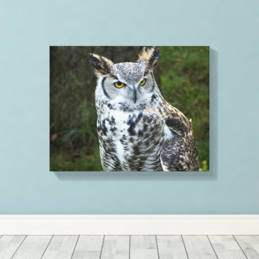 Große Hornschale Leinwanddruck (Insitu (Holzboden))