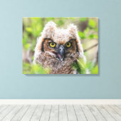 Große Hornschale Leinwanddruck (Insitu (Holzboden))