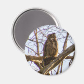 Große Hornschale Magnet (Vorderseite/Rückseite)