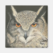 Große Hornschale Magnet (Vorne)