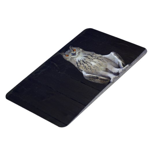 Große Hornschale Magnet (Linke Seite)