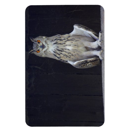 Große Hornschale Magnet (Vertikal)