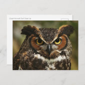 Große Hornschale Nah nach oben Postkarte (Vorne/Hinten)