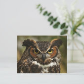 Große Hornschale Nah nach oben Postkarte (Stehend Vorderseite)