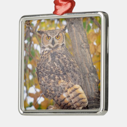 Große Hornschale Ornament Aus Metall (Links)