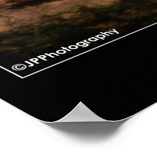 Große Hornschale Poster