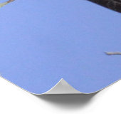 Große Hornschale Poster (Ecke)