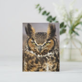 Große Hornschale Postkarte (Stehend Vorderseite)