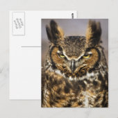 Große Hornschale Postkarte (Vorne/Hinten)