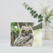 Große Hornschale Postkarte (Stehend Vorderseite)