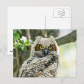 Große Hornschale Postkarte (Vorne/Hinten)