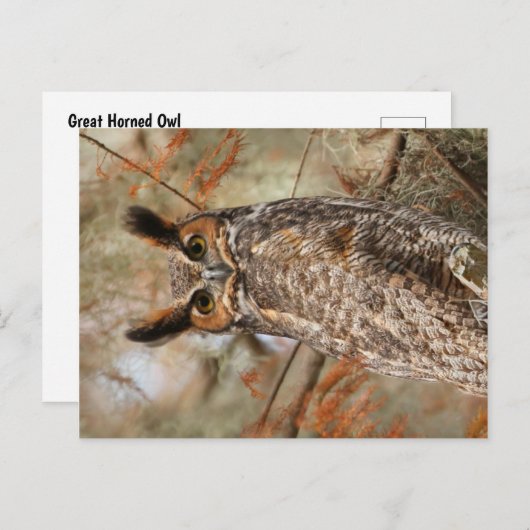 Große Hornschale Postkarte (Vorne/Hinten)