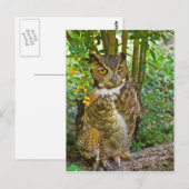 Große Hornschale Postkarte (Vorne/Hinten)