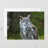 Große Hornschale Postkarte (Vorne/Hinten)