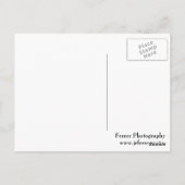 Große Hornschale Postkarte (Rückseite)