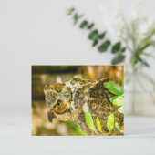 Große Hornschale Postkarte (Stehend Vorderseite)