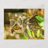 Große Hornschale Postkarte (Vorderseite)