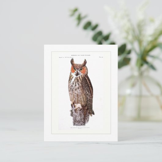 Große Hornschale Postkarte (Stehend Vorderseite)