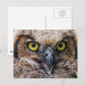 Große Hornschale Postkarte (Vorne/Hinten)