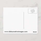 Große Hornschale Postkarte (Rückseite)