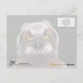 Große Hornschale Postkarte (Rückseite)