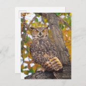 Große Hornschale Postkarte (Vorne/Hinten)