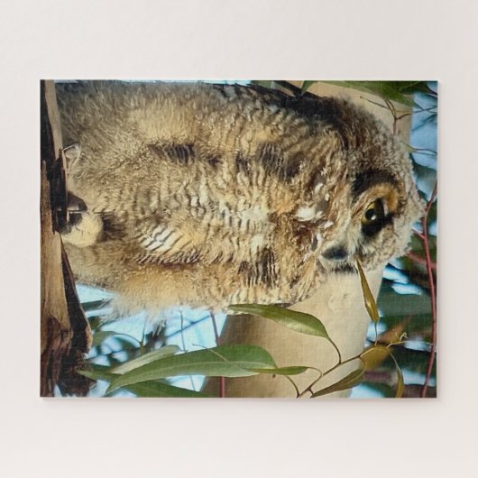 Große Hornschale Puzzle (Horizontal)