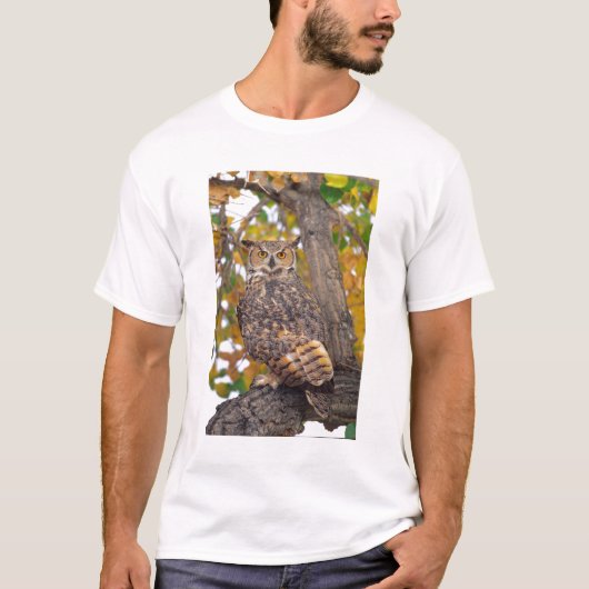Große Hornschale T-Shirt (Vorderseite)