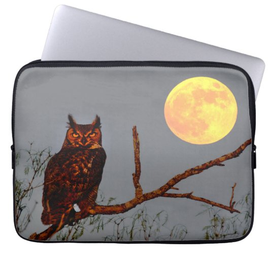 Große Hornschale | Vollmond Laptopschutzhülle (Vorderseite)