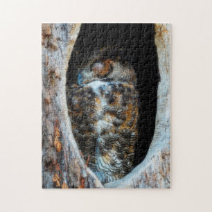 Große Hornschüssel Schlafen in einem Baumloch Puzzle