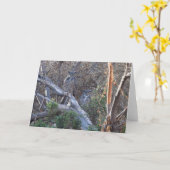 Große Horse Karte (Gelbe Blume)