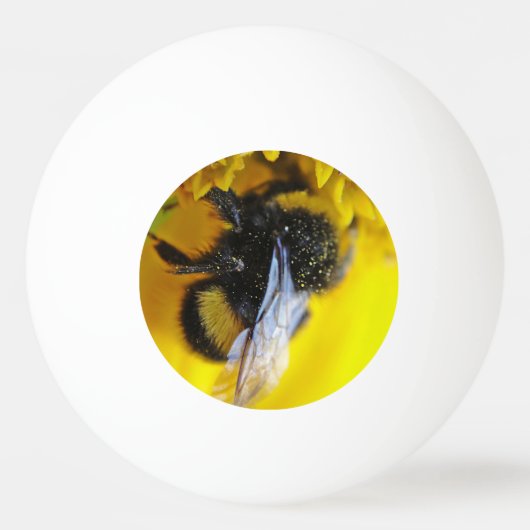 Große Hummel Tischtennisball (Vorderseite)