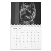 Große Hunde in Schwarz und Weiß Kalender (Feb 2027)
