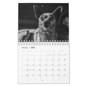 Große Hunde in Schwarz und Weiß Kalender (Jan 2026)