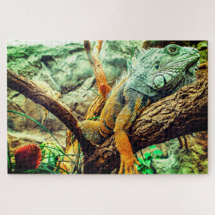 Große Iguana Puzzle