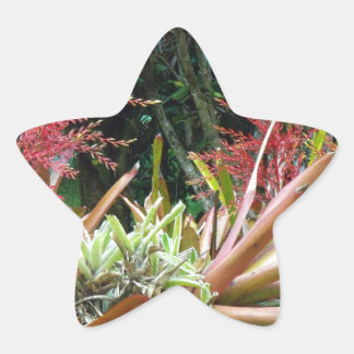 Große Insel Hawaii Botanischer Garten Star Sticke Stern-Aufkleber