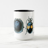 Große Käfer-Tasse Tasse (Zentrum)