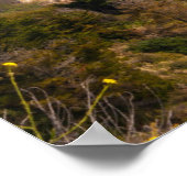 Große kalifornische Küste Poster (Ecke)