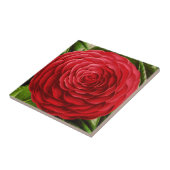 Große Kamelien-Blossom, Schatten tiefroter Fische Fliese (Seite)