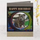 Große Karte | Staffordshire Bull Terrier Birthday (Gelbe Blume)