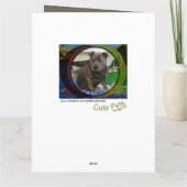 Große Karte | Staffordshire Bull Terrier Birthday (Rückseite)