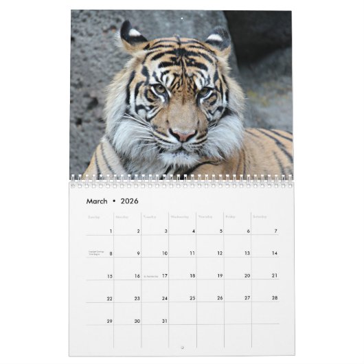 Große Katze wählen Ihr Jahr Kalender (Mär 2026)