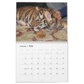 Große Katze wählen Ihr Jahr Kalender (Jan 2026)