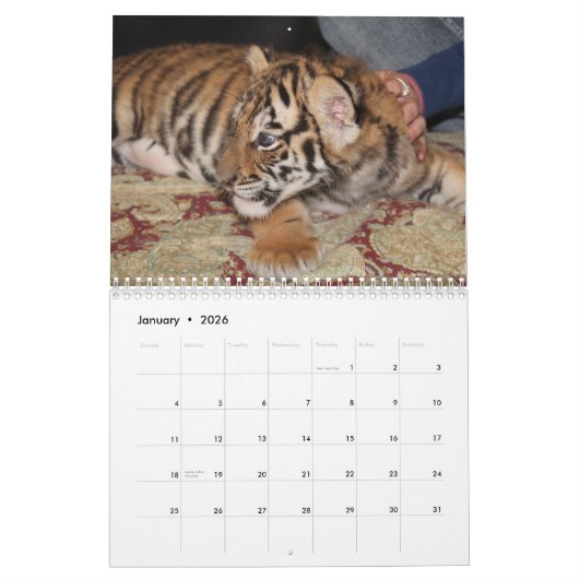 Große Katze wählen Ihr Jahr Kalender (Jan 2026)
