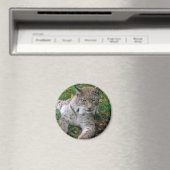 Große Katzen - 11 Magnet (In Situ (Geschirrspüler))