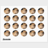 Große Katzen - 8 Runder Aufkleber (Blatt)