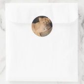 Große Katzen - 8 Runder Aufkleber (Tasche)