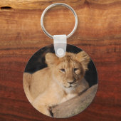 Große Katzen - 8 Schlüsselanhänger (Vorderseite)