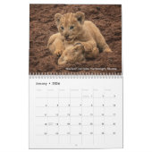 Große Katzen Afrikas: Löwen, Leoparden 2020 Kalender (Jan 2026)